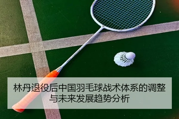 林丹退役后中国羽毛球战术体系的调整与未来发展趋势分析